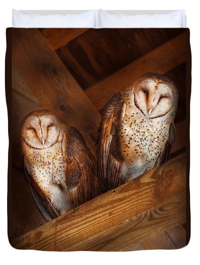 Savad Duvet Cover featuring the photograph Animal - Bird - A couple of barn owls by Mike Savad