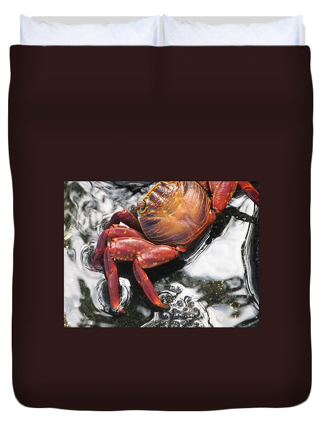 Nature Art Duvet Cover featuring the photograph Animals 2 by Nili Tochner