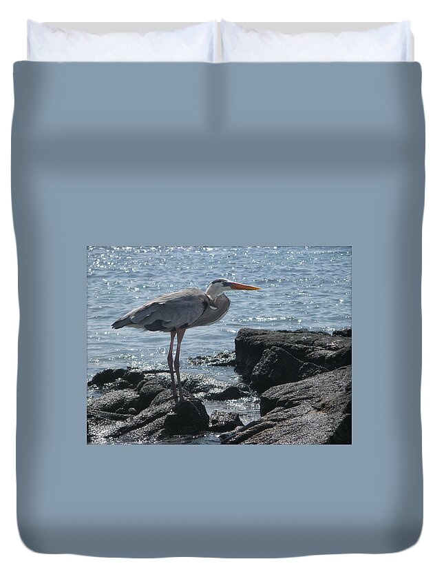 Nature Art Duvet Cover featuring the photograph Animals 7 #1 by Nili Tochner