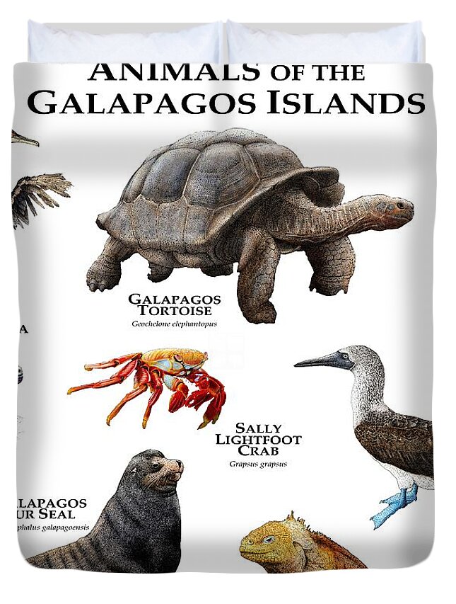 Animal Duvet Cover featuring the photograph Animals Of The Galapagos Islands by Roger Hall