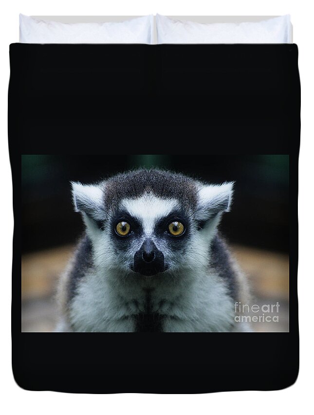 Lemur Duvet Cover featuring the photograph Animlas 15 by Ben Yassa