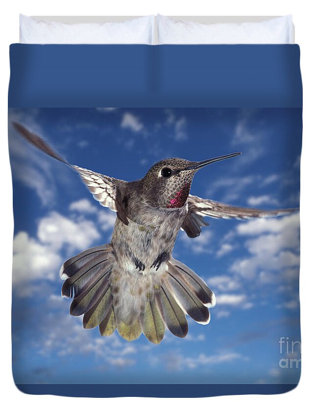 Animal Duvet Cover featuring the photograph Annas Hummingbird by Ron Sanford