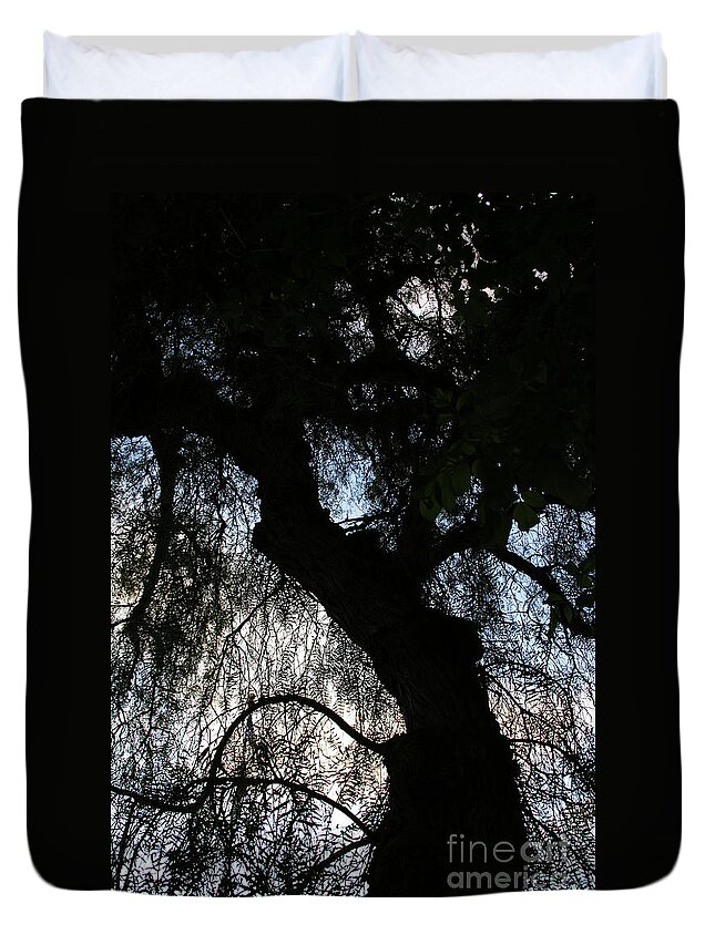 California Pepper Tree Duvet Cover featuring the photograph Anna's Mood by Linda Shafer
