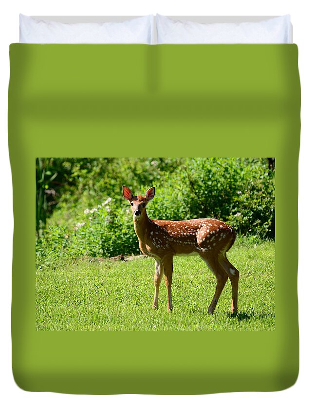Deer Duvet Cover featuring the photograph Another Reason to Love Spring by Lori Tambakis