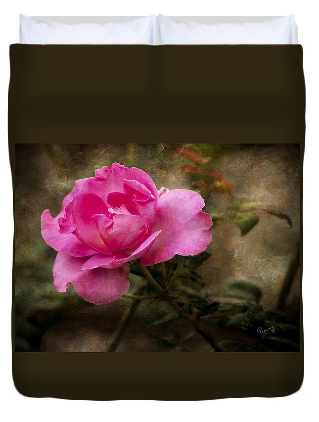 : Penny Lisowski Duvet Cover featuring the photograph Antique Rose by Penny Lisowski