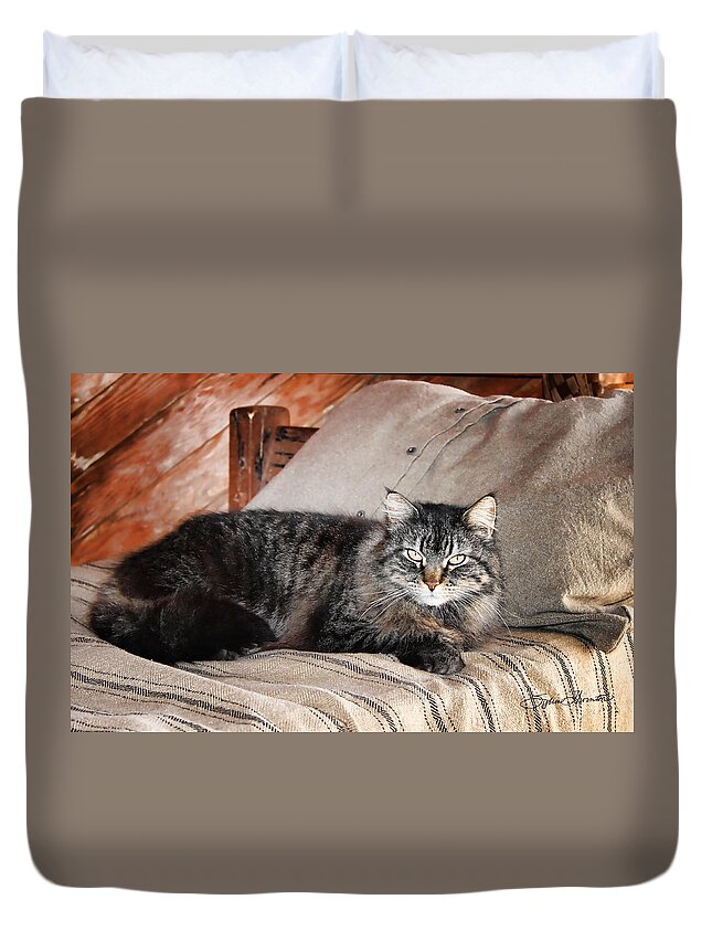 Kitty Duvet Cover featuring the photograph Antiquity Kitty by Sylvia Thornton