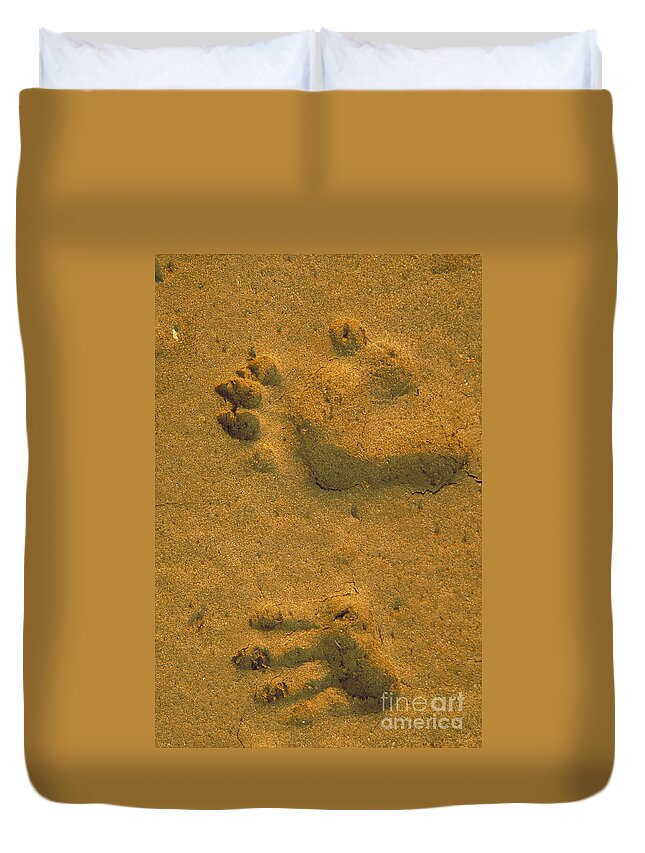 Horizontal Duvet Cover featuring the photograph Anubis Baboon Footprints by Art Wolfe
