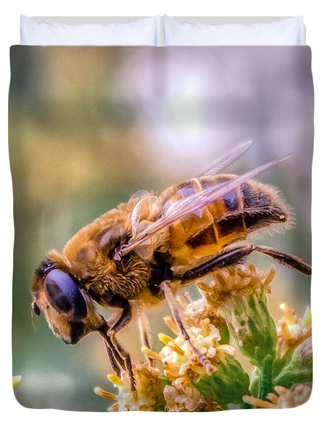 Animal Duvet Cover featuring the photograph Apis mellifera by Traveler's Pics