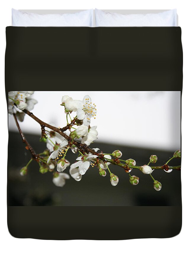 Apple Blossom Duvet Cover featuring the photograph Apple Blossom Buds by Valerie Collins