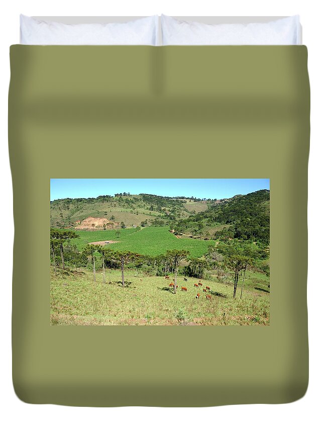 Grass Duvet Cover featuring the photograph Apple Farm by João Carlos Ebone Www.ebone.com.br