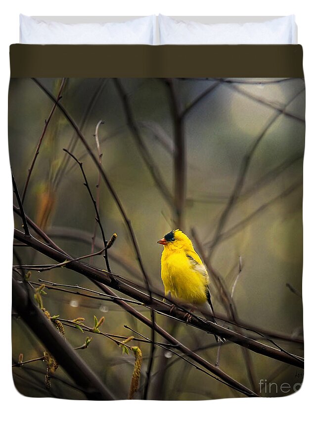 Bird Duvet Cover featuring the photograph April Showers in Square Format by Lois Bryan