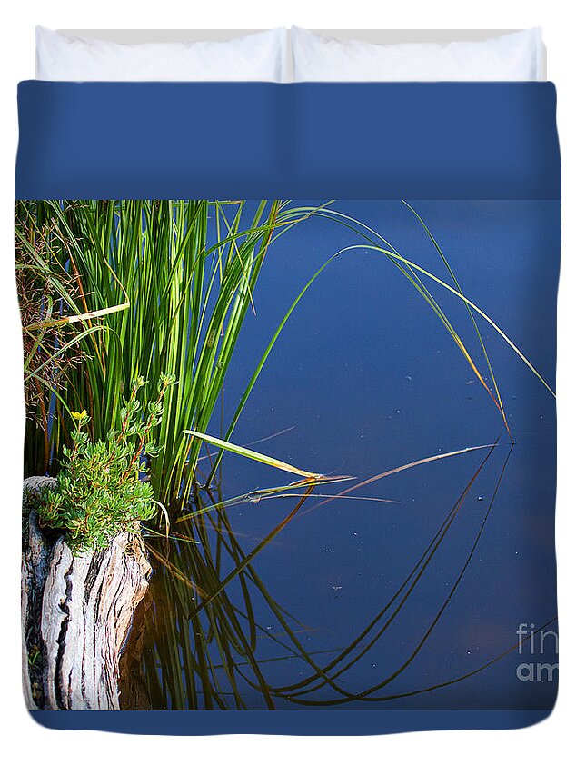 Lakeside Duvet Cover featuring the photograph Arches by Jim Garrison