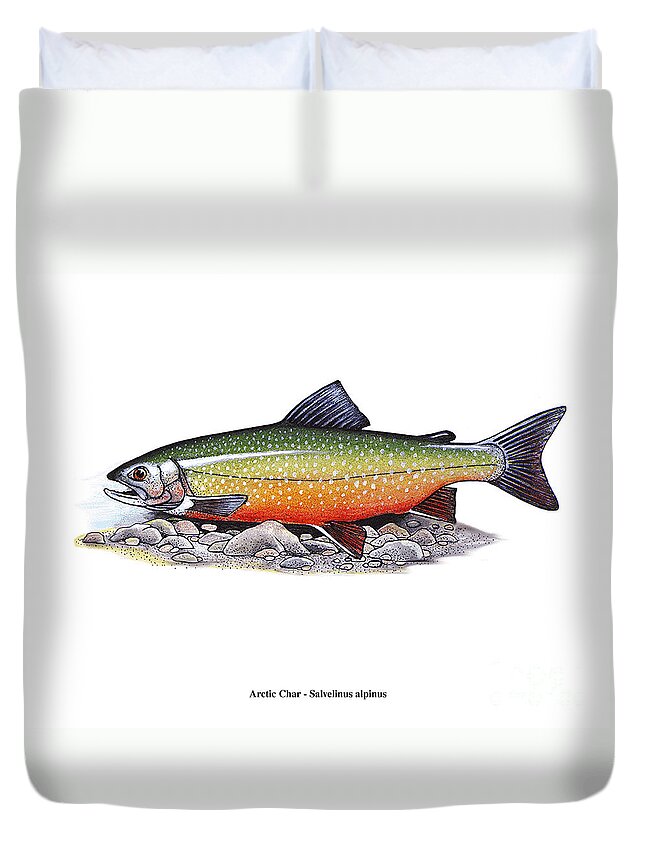 Fish Duvet Cover featuring the mixed media Arctic Char Male by Art MacKay