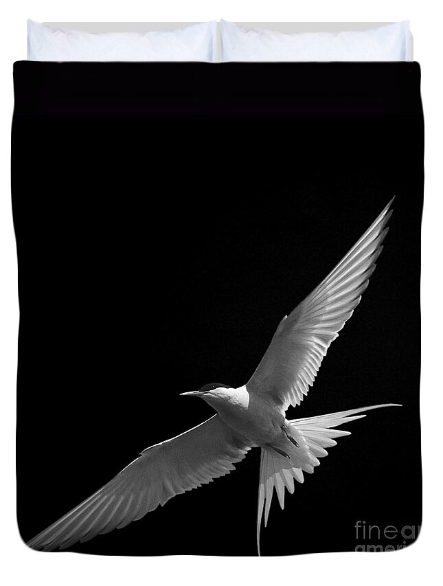 Arctic Turn Gliding Duvet Cover featuring the photograph Arctic Turn gliding by Paul Davenport