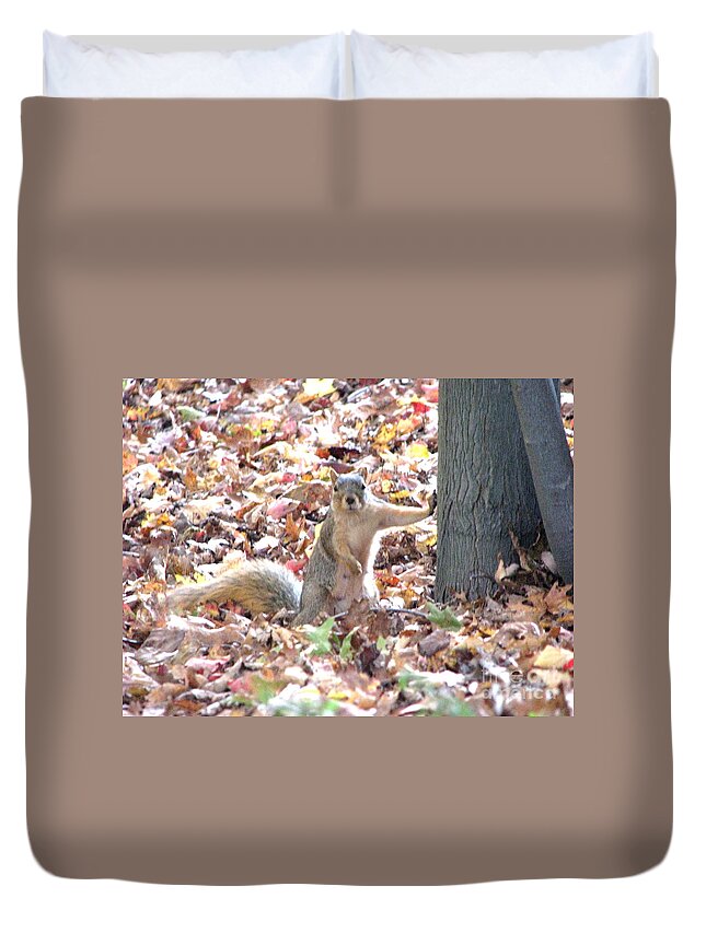 Squirrel Duvet Cover featuring the photograph Are you looking at me ? by Michael Krek