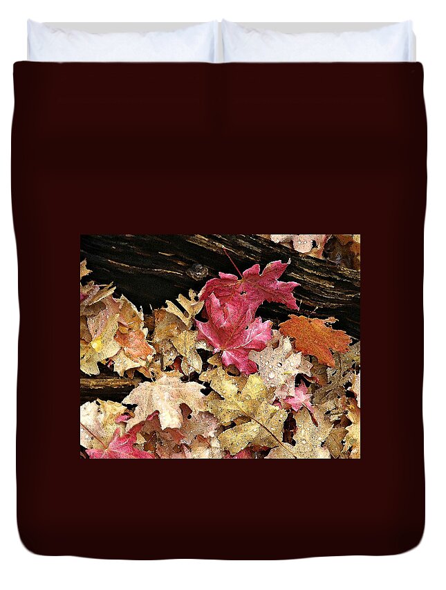 Landscape Duvet Cover featuring the photograph Arizona Fall Colors by Matalyn Gardner