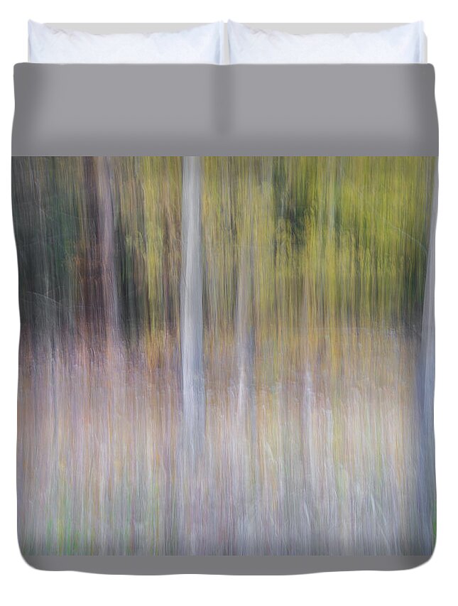 Tree Duvet Cover featuring the photograph Artistic Birch Trees by Larry Marshall