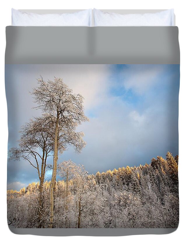 Landscape Duvet Cover featuring the photograph Aspen in Blue by David Andersen