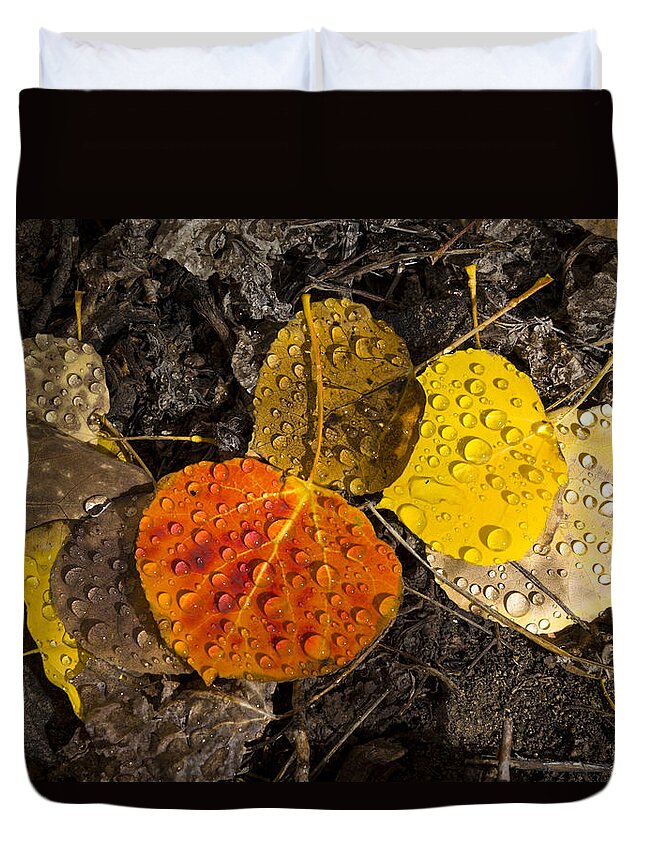 California Duvet Cover featuring the photograph Aspen leaves on Bishop Creek by Joe Doherty