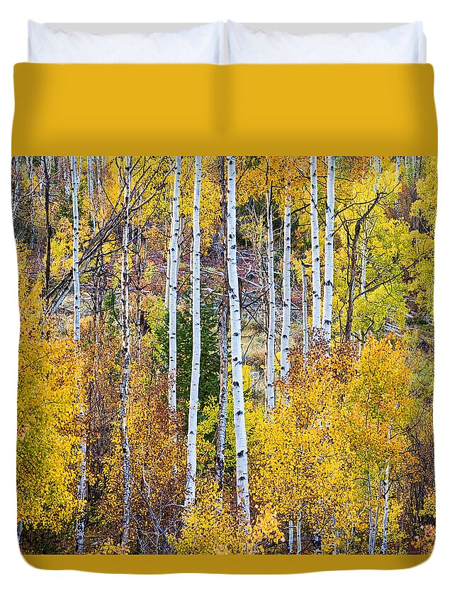 Autumn Duvet Cover featuring the photograph Aspen Tree Magic by James BO Insogna