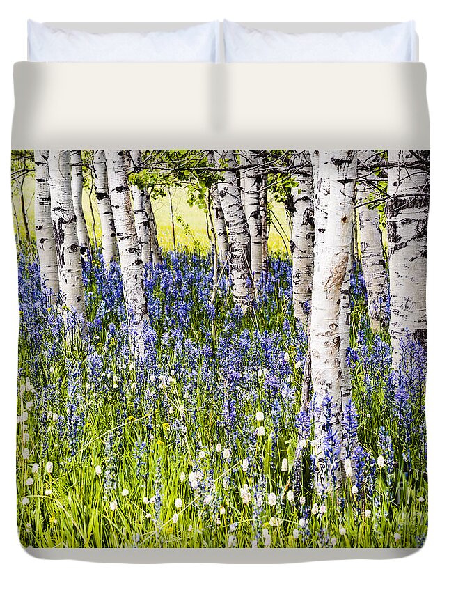 Idaho Duvet Cover featuring the photograph Aspen trees and Camas Lilies in Idaho USA by Vishwanath Bhat