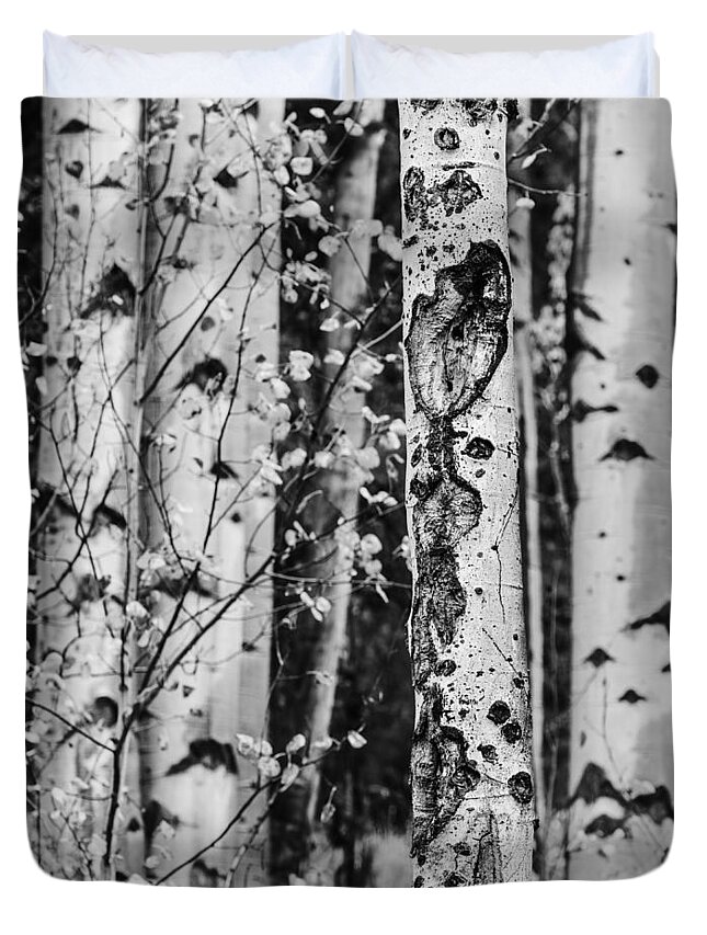 Aspen Tree Duvet Cover featuring the photograph Aspen trees in black and white by Vishwanath Bhat