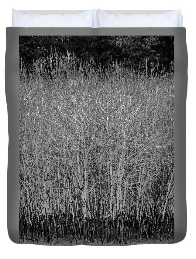 Dakota Duvet Cover featuring the photograph Aspens in Black and White by Greni Graph
