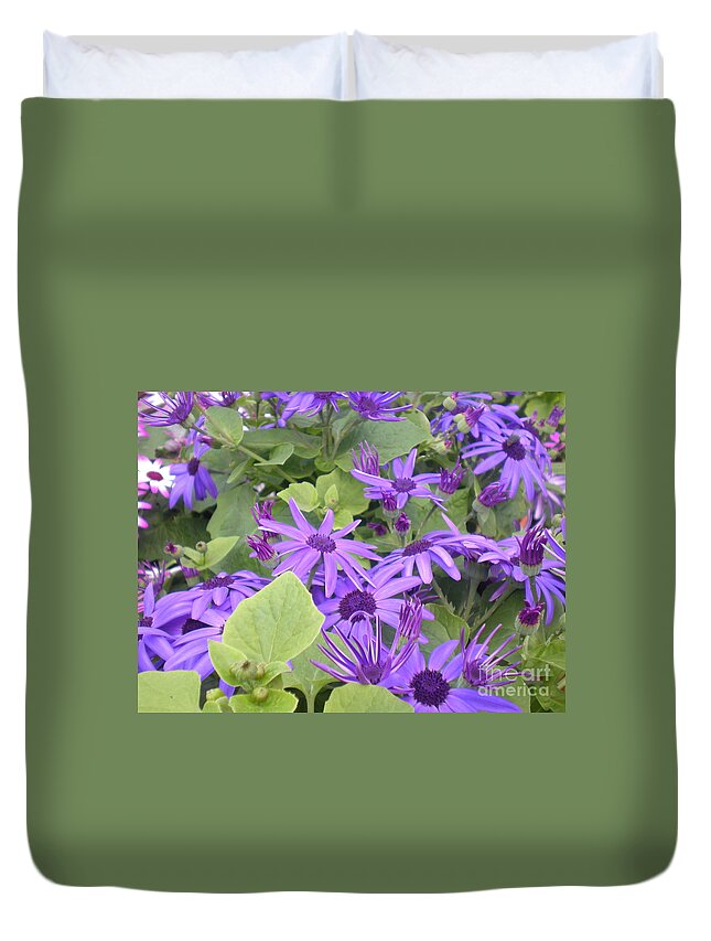 Purple Duvet Cover featuring the photograph Asters by Kim Prowse