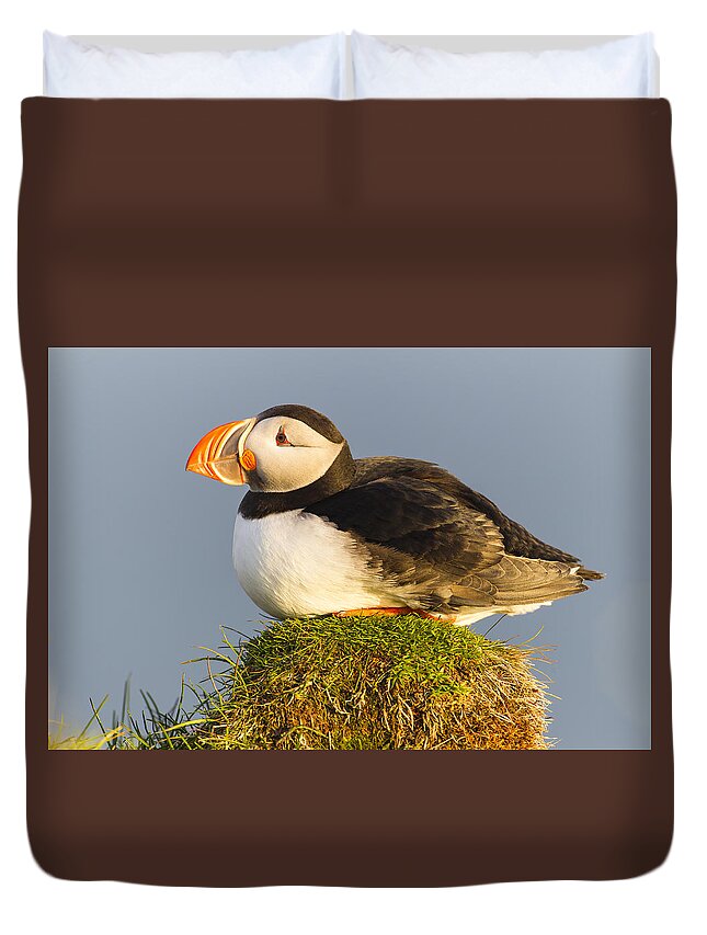 Nis Duvet Cover featuring the photograph Atlantic Puffin Iceland by Peer von Wahl