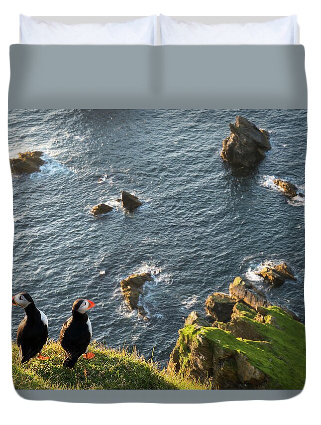 Scenics Duvet Cover featuring the photograph Atlantic Puffins At Clifftop Edge by James Warwick