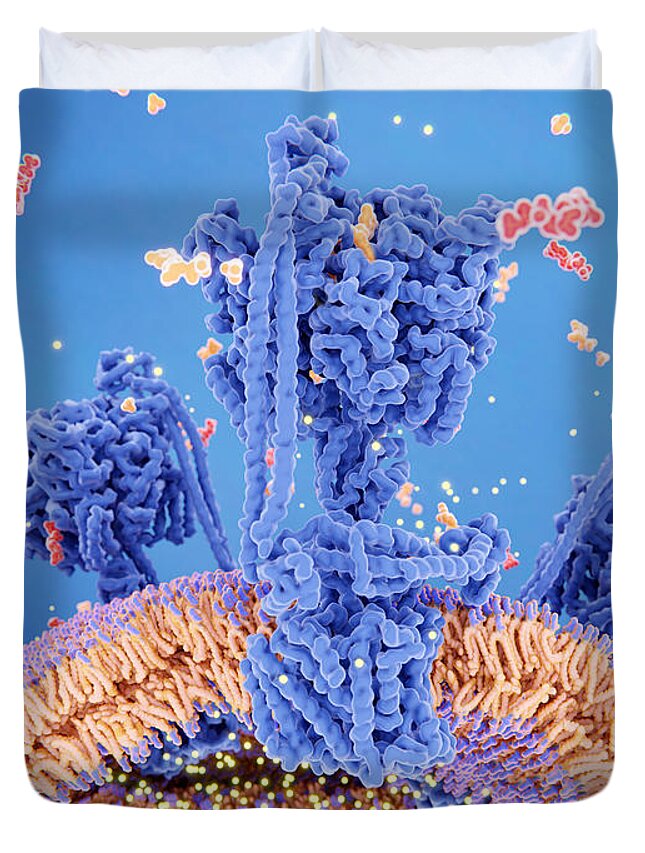 3d Artwork Duvet Cover featuring the photograph Atp Synthase Creating Atp, 3d by Juan Gaertner