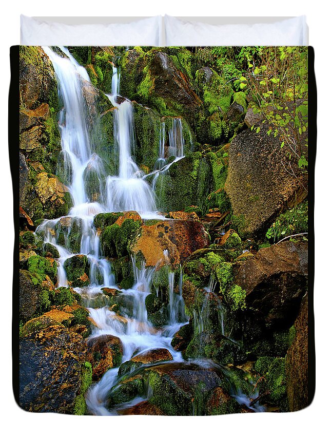 Salmon River Mountains Duvet Cover featuring the photograph Autumn Along Summit Creek by Ed Riche
