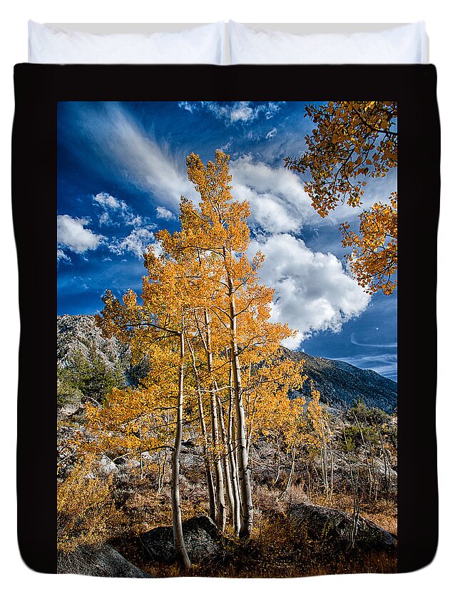 Mountains Duvet Cover featuring the photograph Autumn and Blue Skies by Cat Connor