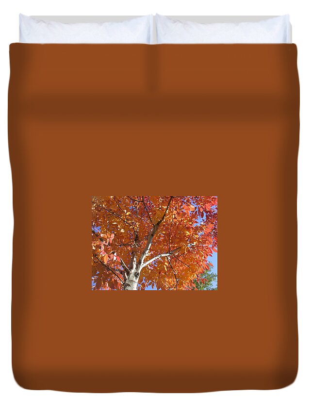 Aspen Duvet Cover featuring the photograph Autumn Aspen #1 by Shane Bechler