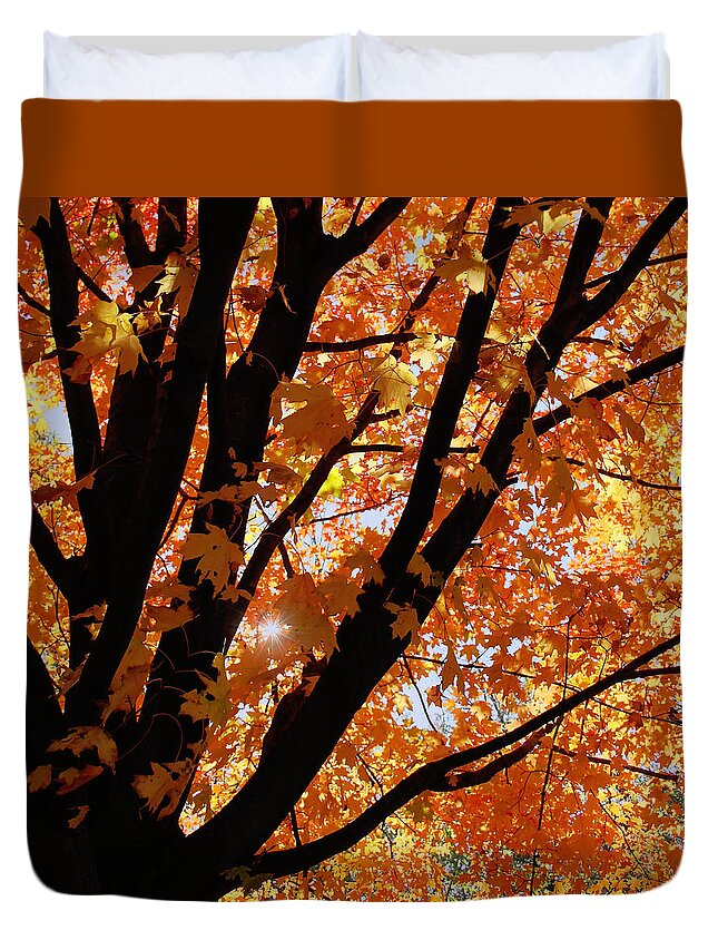 Autumn Duvet Cover featuring the photograph Autumn Beauty by Kim Hojnacki