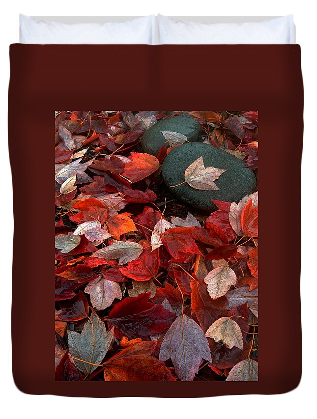 Fall Duvet Cover featuring the photograph Autumn Broadcast by Gwyn Newcombe