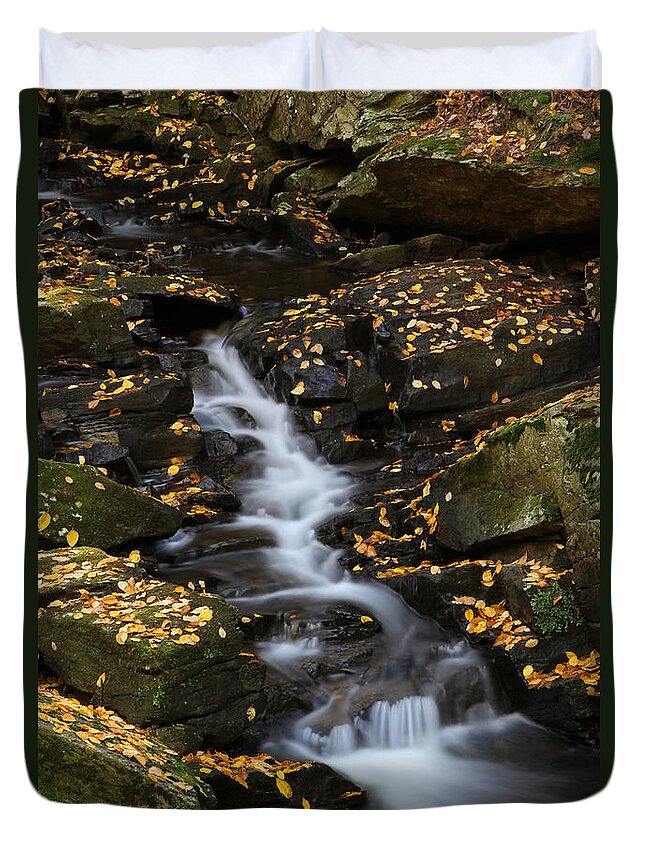 Chesterfield Gorge Duvet Cover featuring the photograph Autumn Cascade at Chesterfield Gorge - New Hampshire by Juergen Roth