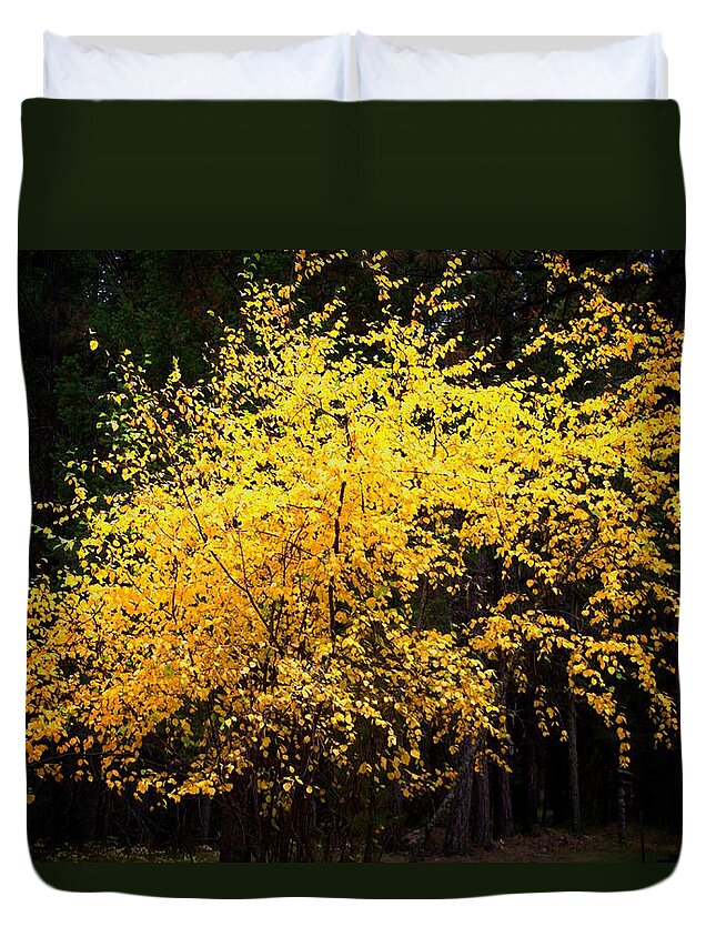 Abstract Duvet Cover featuring the photograph Autumn colors 4 by Newel Hunter