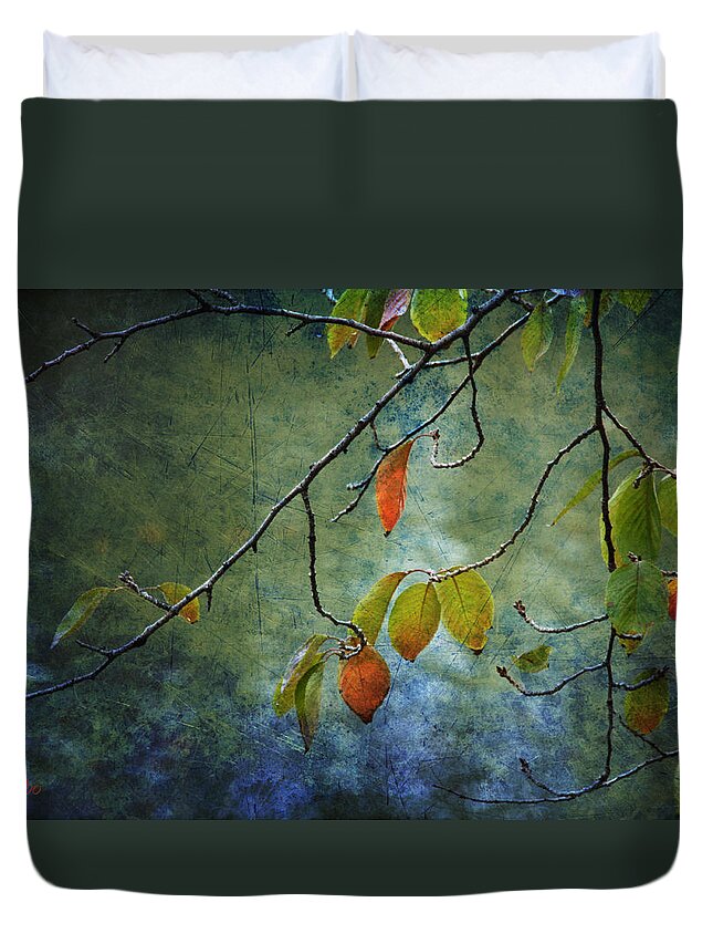 Autumn Duvet Cover featuring the photograph Autumn Colours by Eena Bo
