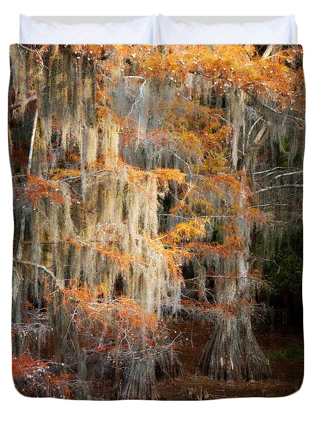 Autumn Duvet Cover featuring the photograph Autumn Cypress by Lana Trussell