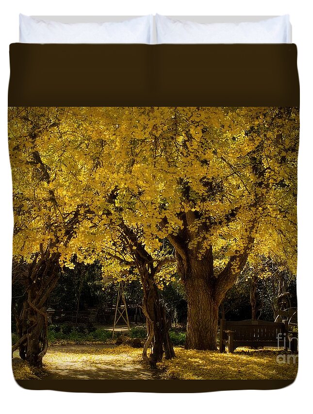 Trees Duvet Cover featuring the photograph Autumn Garden by Peggy Hughes