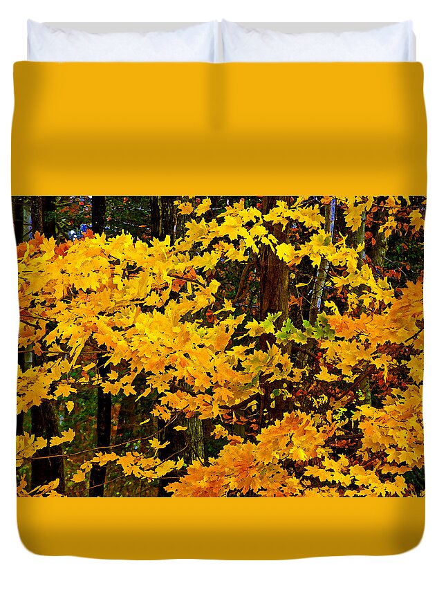 Color; Colour; Fall; Autumn; Leaves; Trees; Nature; Scenic; Maryland Duvet Cover featuring the photograph Autumn Glory dry brush by Andy Lawless