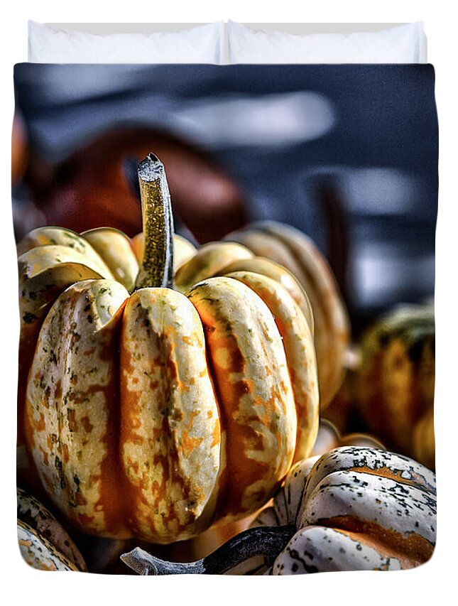 Squash Duvet Cover featuring the photograph Autumn Glow by Caitlyn Grasso