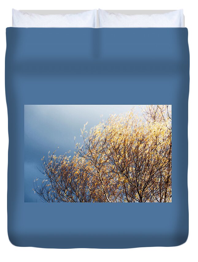 Tree Duvet Cover featuring the photograph Autumn is Leaving by Gwyn Newcombe