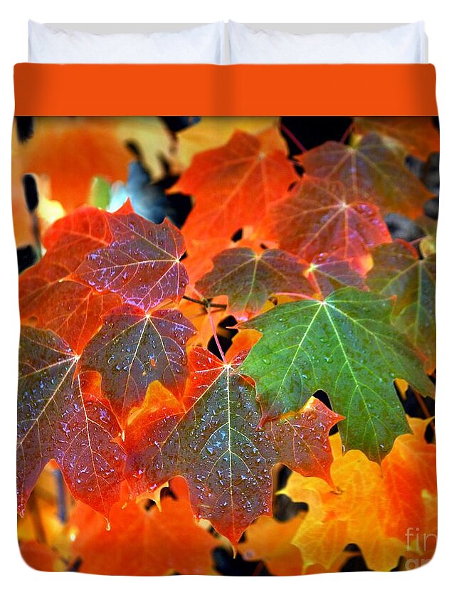 Autumn Leaf Progression Duvet Cover featuring the photograph Autumn Leaf Progression by Patrick Witz