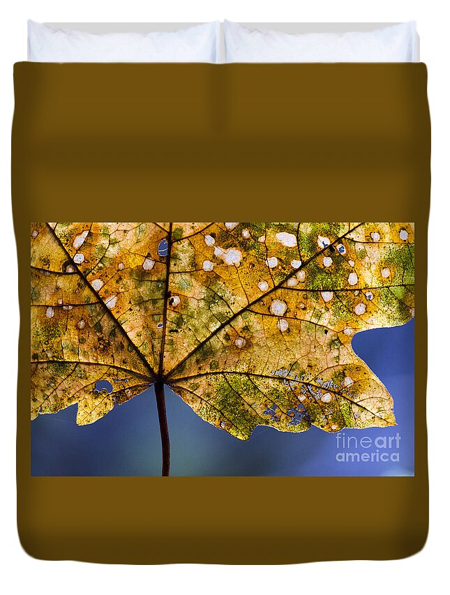 Leaf Duvet Cover featuring the photograph Autumn Leaves 3 by Bob Christopher