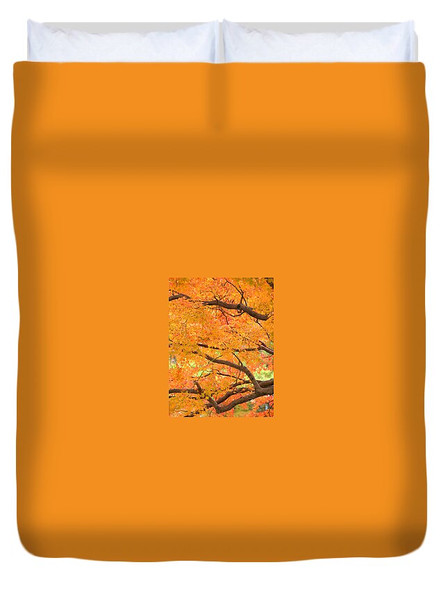 Autumn Duvet Cover featuring the photograph Autumn Leaves by Yuka Kato