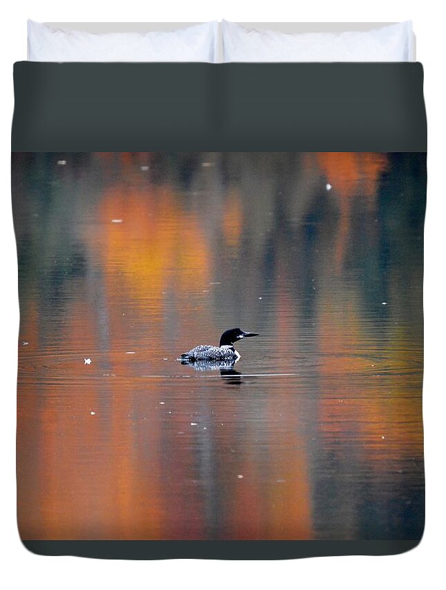 Loon Duvet Cover featuring the photograph Autumn Loon by Thomas Phillips