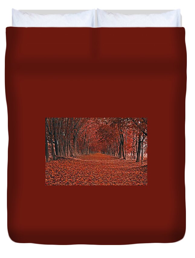 Autumn Duvet Cover featuring the photograph Autumn by Raymond Salani III