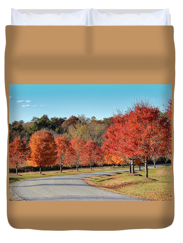 Autumn Road Duvet Cover featuring the photograph Autumn Road by Jemmy Archer